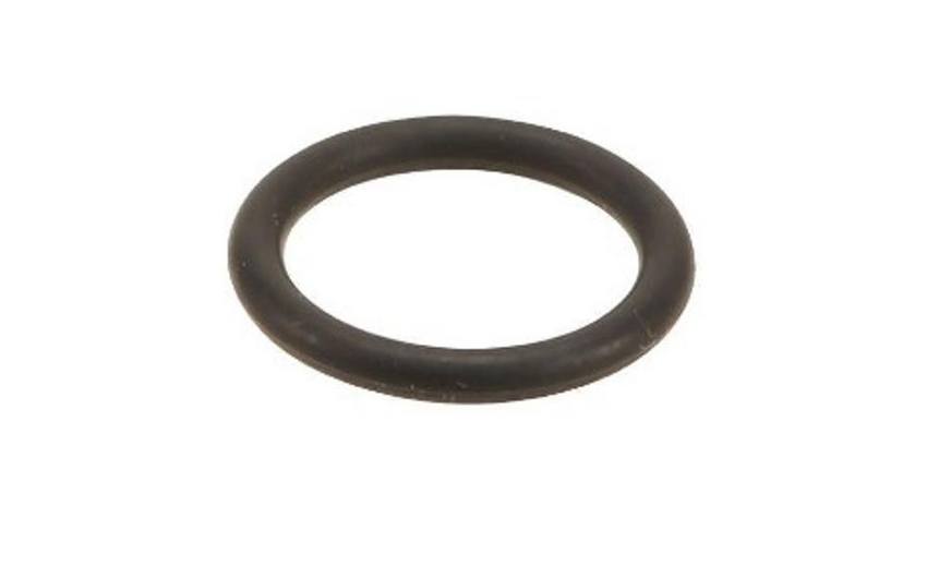 BMW O-Ring (18x24x3) 11531703848 - Elring 424790